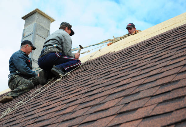 Roof Waterproofing Services in New London, IA